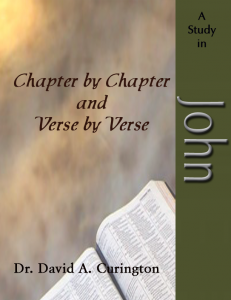 Chapter by Chapter- John -Gospels copy