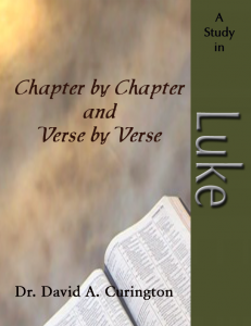 Chapter by Chapter- Luke -Gospels copy