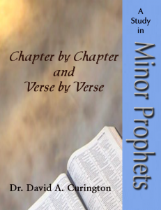 Chapter by Chapter- Minor Prophets copy