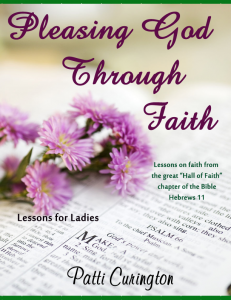 Pleasing God through Faith 2 copy