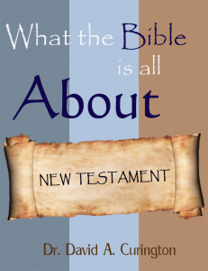 What the Bible is About NT cover copy