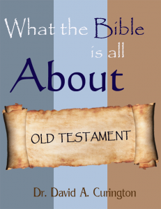 What the Bible is About OT cover Dr