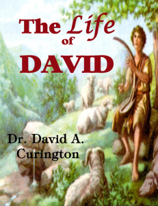 The Life of David copy